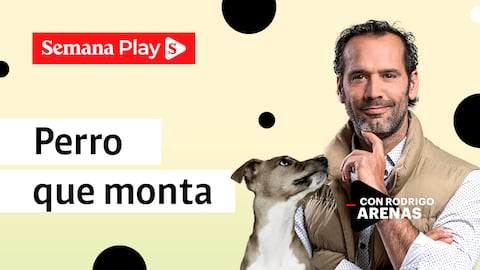 Perro que monta | Rodrigo Arenas en EduCANdo Manadas