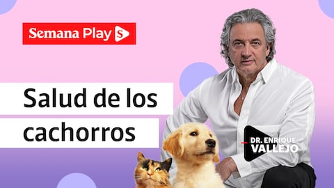 Salud de los cachorros | Enrique Vallejo en Salud Animal