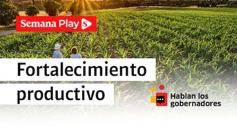 Fortalecimiento productivo - Hablan los gobernadores