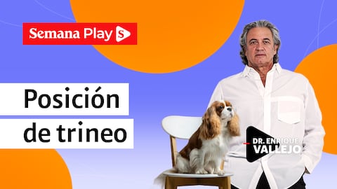 Posición de trineo | Enrique Vallejo en Salud Animal