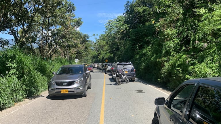 Carros de la UNP donde fueron sorprendidos disidentes de las Farc.