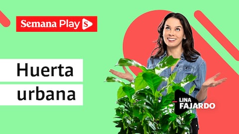 Huerta urbana | Lina Fajardo en La Magia del Orden