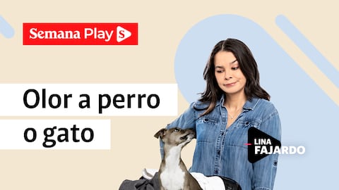 Olor a perro o gato | Lina Fajardo en La Magia del Orden