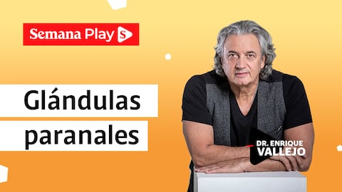 Glándulas paranales | Enrique Vallejo en Salud Animal