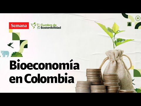 ¿Cuál es el potencial de la bioeconomía en Colombia? | Cumbre de Sostenibilidad