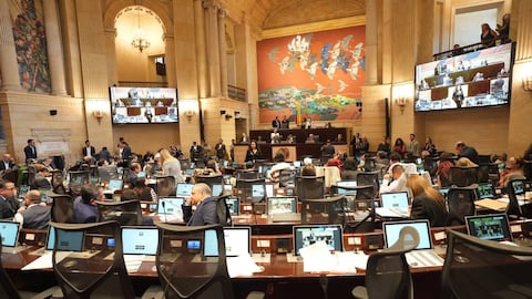 Plenaria de la Cámara de Representantes estudió en último debate el proyecto de ley que prohíbe la corrida de toros en el país.