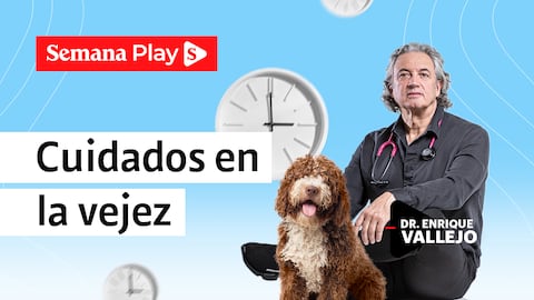 Cuidados en la vejez | Enrique Vallejo en Salud Animal