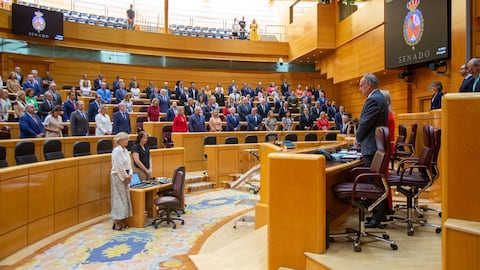 El Senado español haría intentado enviar una delegación a Venezuela