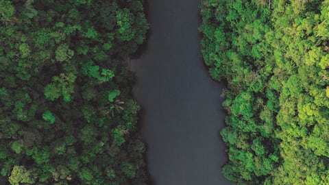 Naturamazonas, una alianza que transforma la vida de las comunidades del Putumayo, Cauca y Caquetá