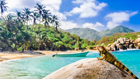 El Parque Nacional Natural Tayrona es una de las maravillas naturales que tiene Santa Marta y Colombia.