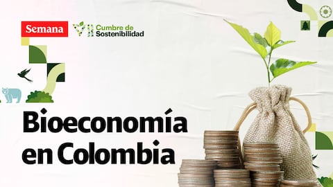 ¿Cuál es el potencial de la bioeconomía en Colombia?