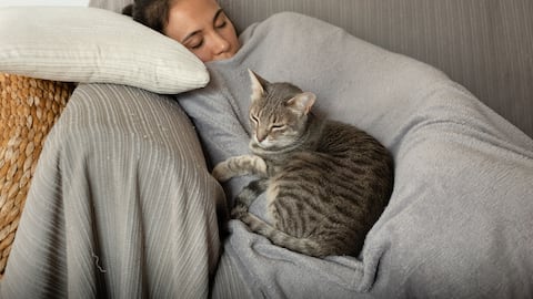 Los gatos eligen a quién acurrucarse en la noche y aquí se explican las razones.